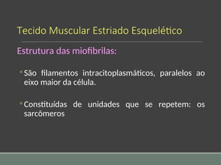 Tecido Muscular Estriado Esquelético
Estrutura das miofibrilas:
◦ São filamentos intracitoplasmáticos, paralelos ao
eixo maior da célula.
◦ Constituídas de unidades que se repetem: os
sarcômeros
 