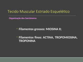 Tecido Muscular Estriado Esquelético
Organização dos Sarcômeros
◦ Filamentos grossos: MIOSINA II;
◦ Filamentos finos: ACTINA, TROPOMIOSINA,
TROPONINA
 