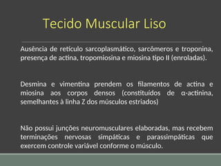 Tecido Muscular Liso
Ausência de retículo sarcoplasmático, sarcômeros e troponina,
presença de actina, tropomiosina e miosina tipo II (enroladas).
Desmina e vimentina prendem os filamentos de actina e
miosina aos corpos densos (constituídos de α-actinina,
semelhantes à linha Z dos músculos estriados)
Não possui junções neuromusculares elaboradas, mas recebem
terminações nervosas simpáticas e parassimpáticas que
exercem controle variável conforme o músculo.
 