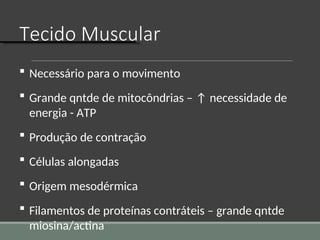 Tecido Muscular
 Necessário para o movimento
 Grande qntde de mitocôndrias – ↑ necessidade de
energia - ATP
 Produção de contração
 Células alongadas
 Origem mesodérmica
 Filamentos de proteínas contráteis – grande qntde
miosina/actina
 