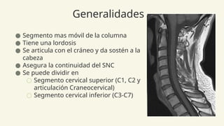 Anatomia Columna normal e inestable Neuroanatomia | PPTX