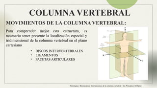 Anatomia Columna normal e inestable Neuroanatomia | PPTX