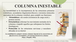 Anatomia Columna normal e inestable Neuroanatomia | PPTX