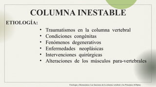 Anatomia Columna normal e inestable Neuroanatomia | PPTX