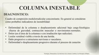 Anatomia Columna normal e inestable Neuroanatomia | PPTX