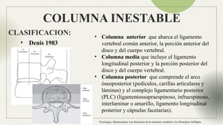 Anatomia Columna normal e inestable Neuroanatomia | PPTX