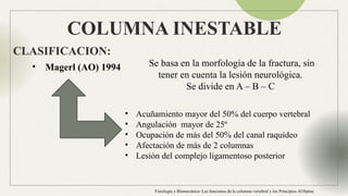 Anatomia Columna normal e inestable Neuroanatomia | PPTX