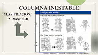 Anatomia Columna normal e inestable Neuroanatomia | PPTX