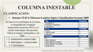 Anatomia Columna normal e inestable Neuroanatomia | PPTX
