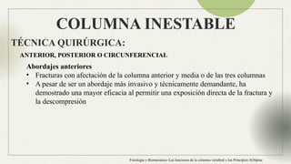 Anatomia Columna normal e inestable Neuroanatomia | PPTX