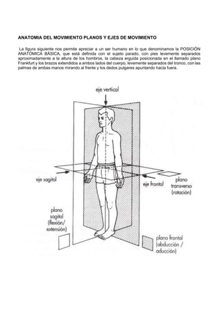 ANATOMIA DEL MOVIMIENTO PLANOS Y EJES DE MOVIMIENTO
La figura siguiente nos permite apreciar a un ser humano en lo que denominamos la POSICIÓN
ANATÓMICA BÁSICA, que está definida con el sujeto parado, con pies levemente separados
aproximadamente a la altura de los hombros, la cabeza erguida posicionada en el llamado plano
Frankfurt y los brazos extendidos a ambos lados del cuerpo, levemente separados del tronco, con las
palmas de ambas manos mirando al frente y los dedos pulgares apuntando hacia fuera.
 