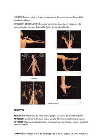 FLEXION: Doblar o reducir el Angulo entre porciones del cuerpo, ejemplo: flexión de la
articulación del codo.
EXTENSION-DORSIFLEXION: Enderezar o aumentar el Angulo entre dos partes del
cuerpo, ejemplo: extensión de la rodilla, flexión del pie sobre el tobillo.
TERMINOS
ABDUCCION: Alejamiento del plano medio, ejemplo: separación del miembro superior
ADUCCION: Acercamiento del plano medio, ejemplo: Aproximación del miembro superior
ROTACION: Movimiento alrededor del eje longitudinal, ejemplo: Rotación medial y lateral del
miembro superior
PRONACION: Rotación medial del antebrazo y de la mano, ejemplo: La palma mira hacia
 