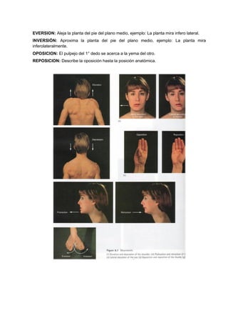 EVERSION: Aleja la planta del pie del plano medio, ejemplo: La planta mira infero lateral.
INVERSIÓN: Aproxima la planta del pie del plano medio, ejemplo: La planta mira
inferolateralmente.
OPOSICION: El pulpejo del 1° dedo se acerca a la yema del otro.
REPOSICION: Describe la oposición hasta la posición anatómica.
 