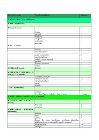 1.4 Sistema Esquelético Huesos      .pdf