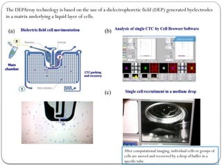 2.liquid biopsy types of markers present.pptx