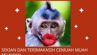 SEKIAN DAN TERIMAKASIH CEMUAH MUAH
 