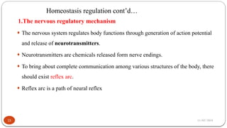 11/02/2024
Homeostasis regulation cont’d…
15
1.The nervous regulatory mechanism
¨ The nervous system regulates body functions through generation of action potential
and release of neurotransmitters.
¨ Neurotransmitters are chemicals released form nerve endings.
¨ To bring about complete communication among various structures of the body, there
should exist reflex arc.
¨ Reflex arc is a path of neural reflex
 