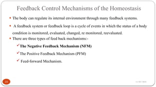 11/02/2024
Feedback Control Mechanisms of the Homeostasis
23
¨ The body can regulate its internal environment through many feedback systems.
¨ A feedback system or feedback loop is a cycle of events in which the status of a body
condition is monitored, evaluated, changed, re monitored, reevaluated.
¨ There are three types of feed back mechanisms:-
The Negative Feedback Mechanism (NFM)
The Positive Feedback Mechanism (PFM)
 Feed-forward Mechanism.
 