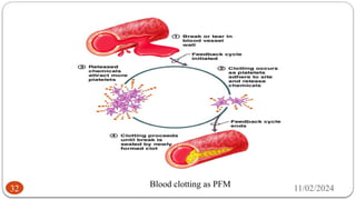 11/02/2024
32 Blood clotting as PFM
 