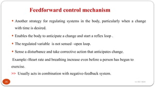 11/02/2024
Feedforward control mechanism
35
¨ Another strategy for regulating systems in the body, particularly when a change
with time is desired.
¨ Enables the body to anticipate a change and start a reflex loop .
¨ The regulated variable is not sensed –open loop.
¨ Sense a disturbance and take corrective action that anticipates change.
Example:-Heart rate and breathing increase even before a person has begun to
exercise.
>> Usually acts in combination with negative-feedback system.
 