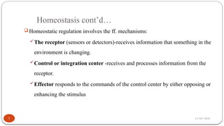 11/02/2024
Homeostasis cont’d…
7
 Homeostatic regulation involves the ff. mechanisms:
The receptor (sensors or detectors)-receives information that something in the
environment is changing.
Control or integration center -receives and processes information from the
receptor.
Effector responds to the commands of the control center by either opposing or
enhancing the stimulus
 