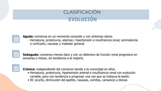 CLASIFICACIÓN
EVOLUCIÓN
Aguda: comienza en un momento conocido y con síntomas claros.
• *
o confusión, nauseas y malestar general.
Subaguda: comienzo menos claro y con un deterioro de función renal progresivo en
semanas o meses, sin tendencia a la mejoría.
Crónica: independiente del comienzo tiende a la cronicidad en años.
• Hematuria, proteinuria, hipertensión arterial e insuficiencia renal con evolución
variable, pero con tendencia a progresar una vez que se instaura la lesión.
• IR: prurito, diminución del apetito, nauseas, vomitos, cansancio y disnea
Hematuria, proteinuria, edemas , hipertensión e insuficiencia renal, somnolencia
 