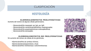 CLASIFICACIÓN
HISTOLOGÍA
Glomerulonefritis mesangial: por IgA, por IgM.
Glomerulonefritis membranoproliferativao mesangiocapilar.
Glomerulonefritis posestreptocócicao endocapilardifusa.
Glomerulonefritis extracapilar.
•
•
•
G L O M E R U L O N E F R I T I S P R O L I F E R A T I V A S
G L O M E R U L O N E F R I T I S N O P R O L I F E R A T I V A S
Sin aumento del número de células de los glomérulos.
•Glomerulonefritis de cambios mínimos.
•Glomerulosclerosissegmentaria y focal.
•Glomerulonefritis membranosa o extramembranosa
Aumento del número de algunas células glomerulares.
•
 