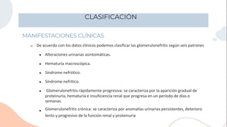 CLASIFICACIÓN
MANIFESTACIONES CLÍNICAS
○
Glomerulonefritis rápidamente progresiva: se caracteriza por la aparición gradual de
De acuerdo con los datos clínicos podemos clasificar las glomerulonefritis según seis patrones
■
■
■
■
■
■
Alteraciones urinarias asintomáticas.
Hematuria macroscópica.
Síndrome nefrótico.
Síndrome nefrítico.
proteinuria, hematuria e insuficiencia renal que progresa en un período de días o
semanas.
Glomerulonefritis crónica: se caracteriza por anomalías urinarias persistentes, deterioro
lento y progresivo de la función renal y proteinuria
 