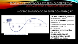 TEORIA E METODOLOGIA DO TREINO DESPORTIVO
CARGA DE TREINO E PROCESSOS ADAPTATIVOS
MODELO SIMPLIFICADO DA SUPERCOMPENSAÇÃO
Figura: Modelo simplificado de supercompensação.
A SUPERCOMPENSAÇÃO está
dividida em 4 fases:
A – FASE DE ALARME (estímulo
de treino) e
consequentemente redução
da capacidade de
rendimento
B – FASE DE RECUPERAÇÃO
C – FASE DE
SUPERCOMPENSAÇÃO
D – FASE DE ADAPTAÇÃO
REVERSÍVEL (destreino)
 