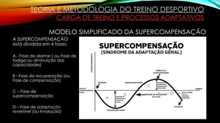 A SUPERCOMPENSAÇÃO
está dividida em 4 fases:
A - Fase de alarme ( ou Fase de
fadiga ou diminuição das
capacidades)
B - Fase de recuperação (ou
Fase de compensação)
C – Fase de
supercompensação
D – Fase de adaptação
reversível (ou Involução)
TEORIA E METODOLOGIA DO TREINO DESPORTIVO
CARGA DE TREINO E PROCESSOS ADAPTATIVOS
A
B
C
D
MODELO SIMPLIFICADO DA SUPERCOMPENSAÇÃO
 