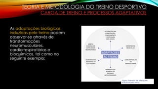 As adaptações biológicas
induzidas pelo treino podem
observar-se através de
transformações
neuromusculares,
cardiorrespiratórias e
bioquímicas, tal como no
seguinte exemplo:
TEORIA E METODOLOGIA DO TREINO DESPORTIVO
CARGA DE TREINO E PROCESSOS ADAPTATIVOS
Figura: Exemplo de alterações
induzidas pelo treino.
 