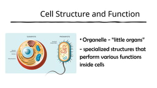 A Powerpoint Presentation of Cell Structure and Function | PPTX