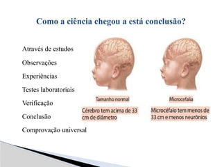 Através de estudos
Observações
Experiências
Testes laboratoriais
Verificação
Conclusão
Comprovação universal
Como a ciência chegou a está conclusão?
 