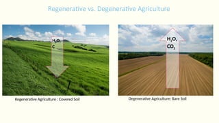 2.2 - Benefits of agricultural biodiversity - RK.pptx