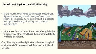 2.2 - Benefits of agricultural biodiversity - RK.pptx