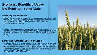 2.2 - Benefits of agricultural biodiversity - RK.pptx