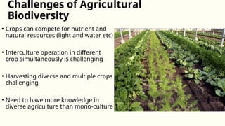 2.2 - Benefits of agricultural biodiversity - RK.pptx