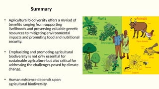 2.2 - Benefits of agricultural biodiversity - RK.pptx