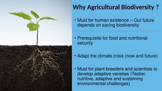 2.2 - Benefits of agricultural biodiversity - RK.pptx
