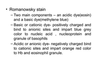 • Romanowsky stain
– Two main components – an acidic dye(eosin)
and a basic dye(methylene blue)
– Basic or cationic dye- positively charged and
bind to anionic sites and impart blue grey
color to nucleic acid , nucleoprotein and
granule of basophils
– Acidic or anionic dye- negatively charged bind
to cationic sites and impart orange red color
to Hb and eosinophil granule.
 