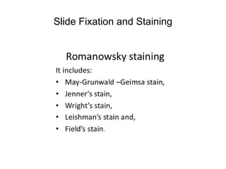 Slide Fixation and Staining
 