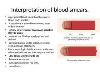 Interpretation of blood smears.
• A peripheral blood smear has three parts:
Head, body, and tail .
• A blood smear should be examined in an
orderly manner.
• Initially observe under low power objective
(10×) to assess
• whether the film is properly spread and
stained,
• Cell distribution, and to select an area for
examination of blood cells.
• Best morphologic details are seen in the area
where red cells are just touching one another.
• Low power view useful to see
• Rouleaux formation,
• autoagglutination of red cells,
• microfilaria.
 