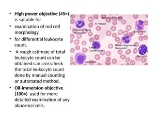 • High power objective (45×)
is suitable for
• examination of red cell
morphology
• for differential leukocyte
count.
• A rough estimate of total
leukocyte count can be
obtained can crosscheck
the total leukocyte count
done by manual counting
or automated method.
• Oil-immersion objective
(100×) used for more
detailed examination of any
abnormal cells.
 