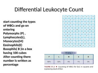 Differential Leukocyte Count
start counting the types
of WBCs and go on
entering
Polymorphs (P) ,
Lymphocytes(L),
Monocytes(M)
Eosinophils(E)
Basophils( B )in a box
having 100 cubes
After counting there
number is written as
percentage
 