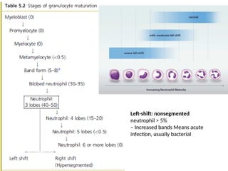 Left-shift: nonsegmented
neutrophil > 5%
– Increased bands Means acute
infection, usually bacterial
 