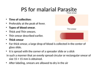 PS for malarial Parasite
• Time of collection:
• Preferably at the peak of fever.
• Types of blood smear.
• Thick and Thin smears.
• Thin smear described earlier.
• Thick smear
• For thick smear, a large drop of blood is collected in the center of
glass slide.
• It is spread with the corner of a spreader slide or a stick
in such a manner that an evenly spread circular or rectangular smear of
size 15 × 15 mm is obtained.
• After labeling, smears are allowed to dry in the air
 