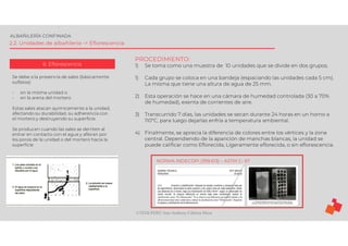 ©TEDI-PERÚ Jens Anthony Cabrera Meza
ALBAÑILERÍA CONFINADA
2.2. Unidades de albañilería -> Eflorescencia
6. Eflorescencia
NORMA INDECOPI (399.613) – ASTM C- 67
Se debe a la presencia de sales (básicamente
sulfatos):
- en la misma unidad o
- en la arena del mortero
Estas sales atacan químicamente a la unidad,
afectando su durabilidad, su adherencia con
el mortero y destruyendo su superficie.
Se producen cuando las sales se derriten al
entrar en contacto con el agua y afloran por
los poros de la unidad o del mortero hacia la
superficie
PROCEDIMIENTO:
1) Se toma como una muestra de 10 unidades que se divide en dos grupos.
1) Cada grupo se coloca en una bandeja (espaciando las unidades cada 5 cm).
La misma que tiene una altura de agua de 25 mm.
2) Esta operación se hace en una cámara de humedad controlada (30 a 70%
de humedad), exenta de corrientes de aire.
3) Transcurrido 7 días, las unidades se secan durante 24 horas en un horno a
110ºC, para luego dejarlas enfría a temperatura ambiental.
4) Finalmente, se aprecia la diferencia de colores entre los vértices y la zona
central. Dependiendo de la aparición de manchas blancas, la unidad se
puede calificar como Eflorecida, Ligeramente eflorecida, o sin eflorescencia.
 