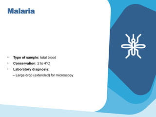 Malaria
• Type of sample: total blood
• Conservation: 2 to 4°C
• Laboratory diagnosis:
– Large drop (extended) for microscopy
 