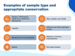 Examples of sample type and
appropriate conservation
Dengue, Chikungunya,
yellow fever, hantavirus,
leptospirosis
Zika, measles, and rubella
Hepatitis
Influenza and other respiratory
viruses
Bacterial and viral encephalitis
Rotavirus, norovirus,
enterobacteria
Malaria Meningeal disease
 