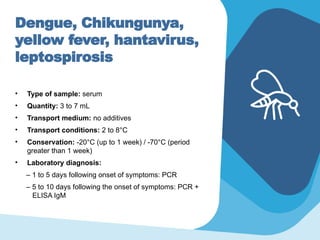 Dengue, Chikungunya,
yellow fever, hantavirus,
leptospirosis
• Type of sample: serum
• Quantity: 3 to 7 mL
• Transport medium: no additives
• Transport conditions: 2 to 8°C
• Conservation: -20°C (up to 1 week) / -70°C (period
greater than 1 week)
• Laboratory diagnosis:
– 1 to 5 days following onset of symptoms: PCR
– 5 to 10 days following the onset of symptoms: PCR +
ELISA IgM
 